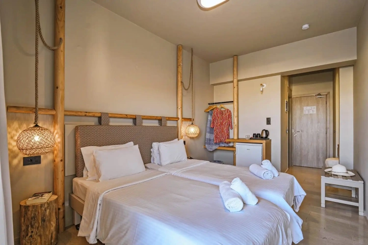 Standard Double room with pool view