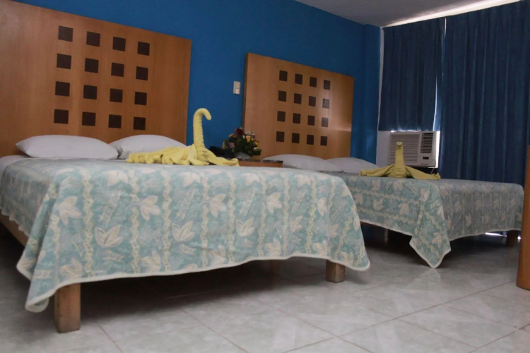 Hotel Ziami