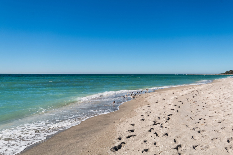 Inn At The Beach photo 24
