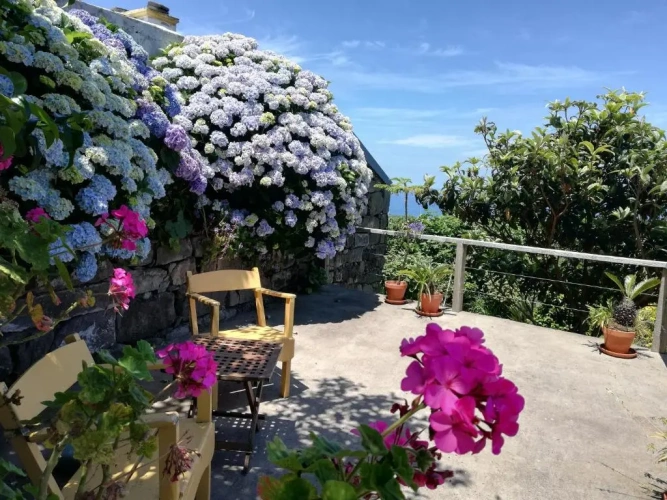 1 Bedroom Cottage