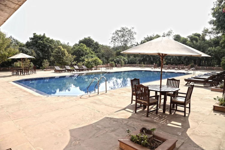 The Bagh