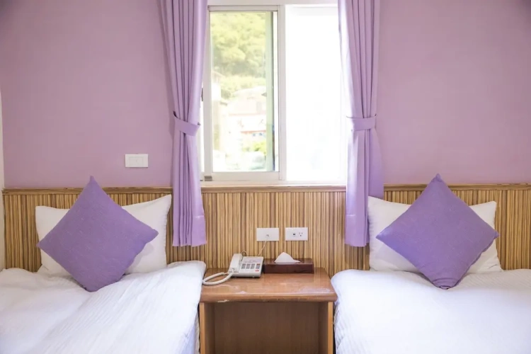 Standard Twin room with city view