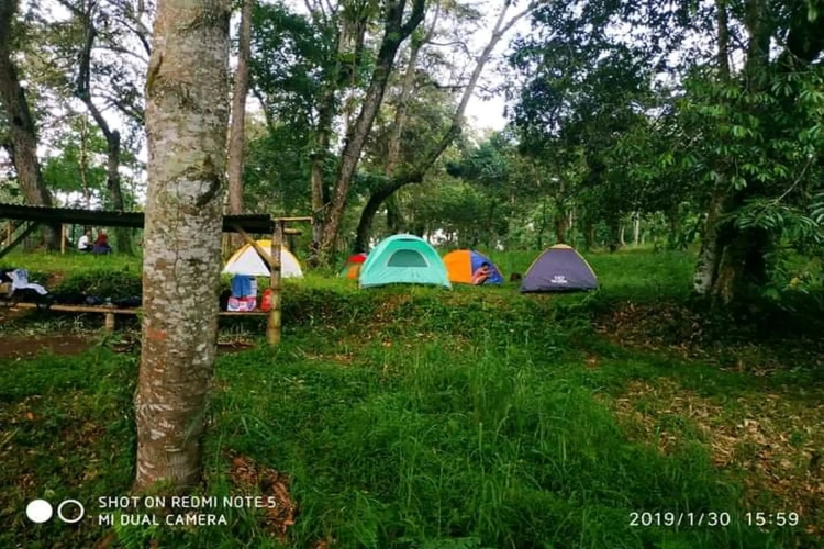 Tent