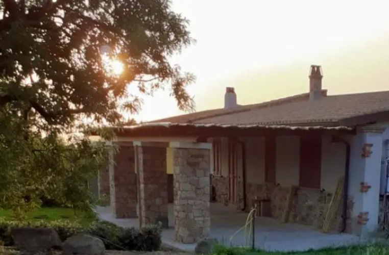 L'oliveto