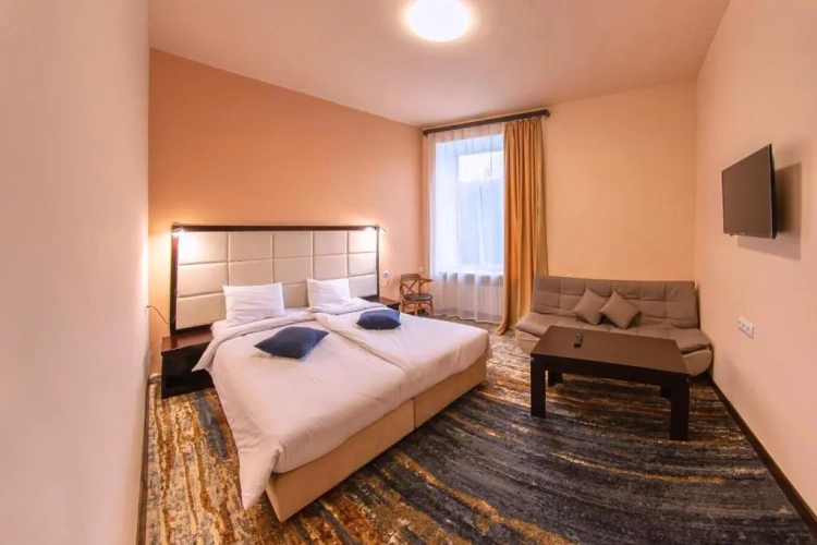 Deluxe Single room with balcony and with view