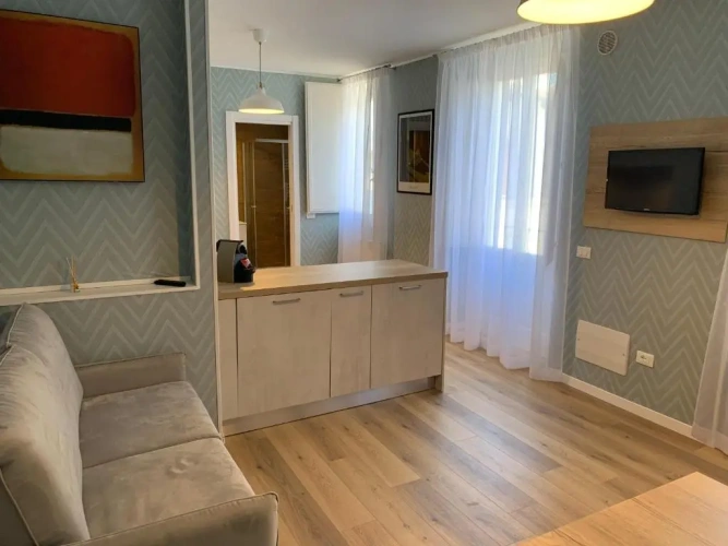1 Bedroom Apartment