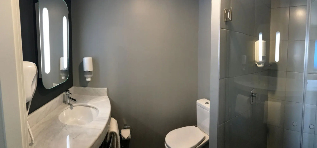 ibis Irapuato
