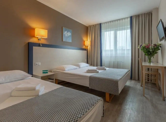 Basic Triple room