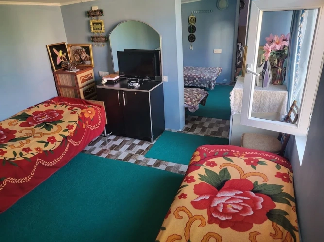 Standard Twin room with garden view