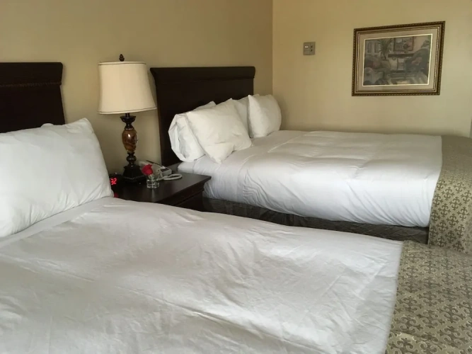 Deluxe Quadruple room