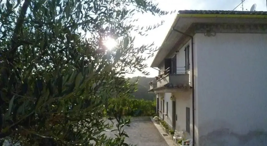 B&B La Pace Tra Gli Olivi