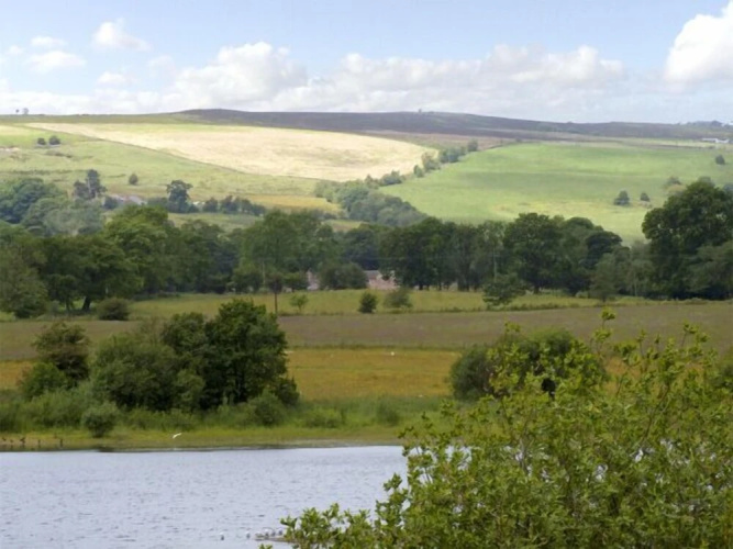 The Rindle