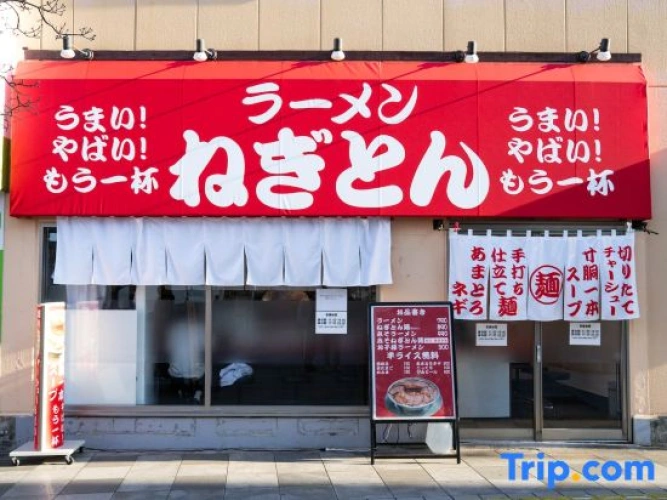 Easy access to Asakusa, Akihabara, and Skytree|Maximum 6 people|Includes photo experience