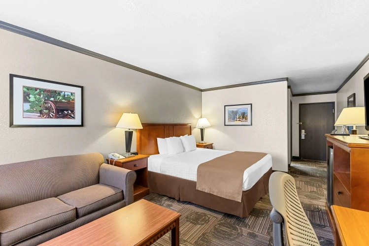 Standard Double room