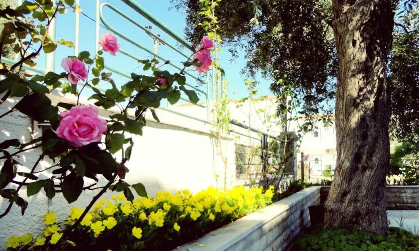Studios Soti