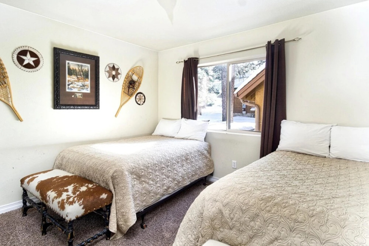 1641 - Timber Wolf Den by RedAwning