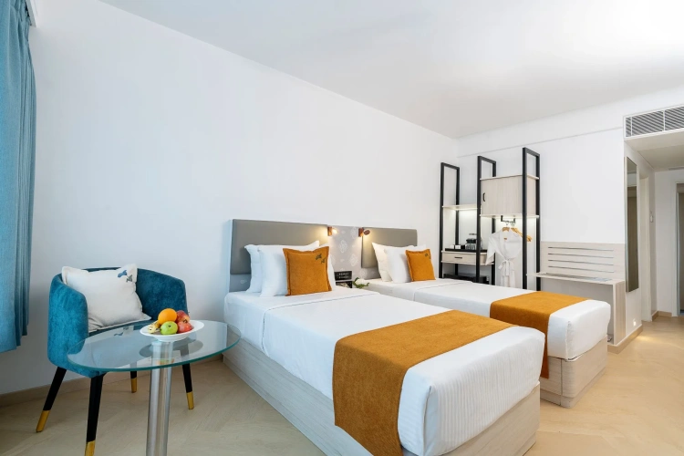 Premium Twin room