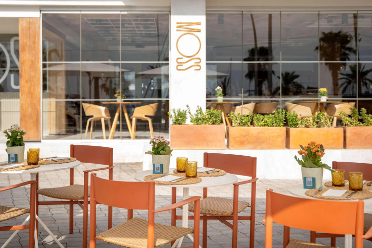 Meliá Palma Marina photo 34