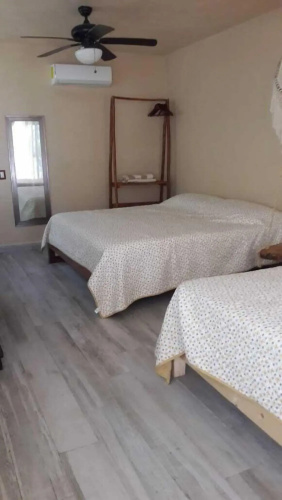 Iguana Rana Cabins Bacalar