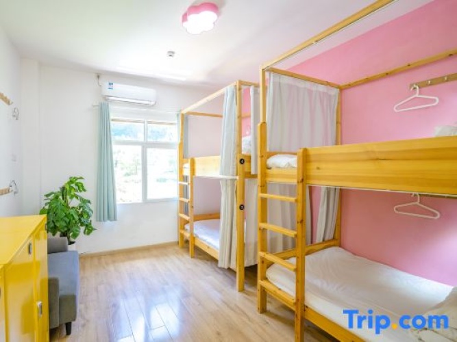 Bed in Dorm