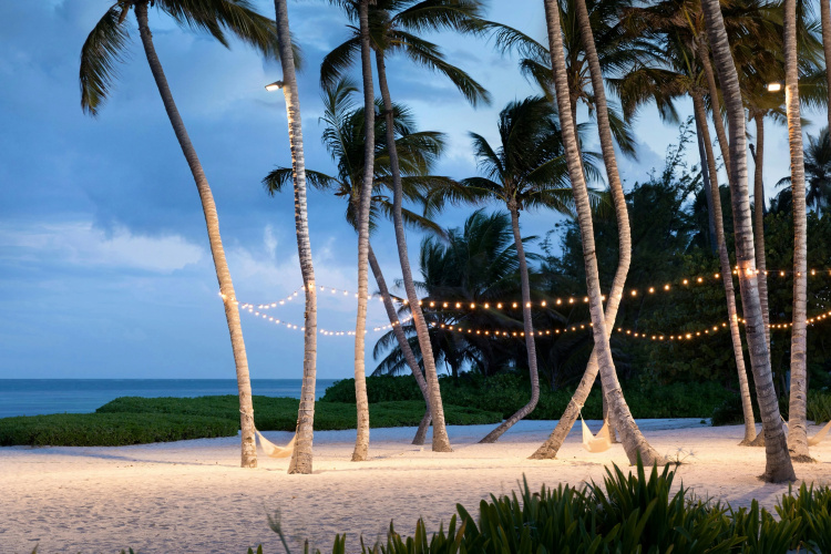 The Westin Puntacana Resort and Club photo 32