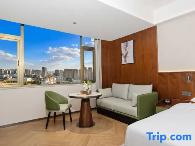 Standard Double room with city view