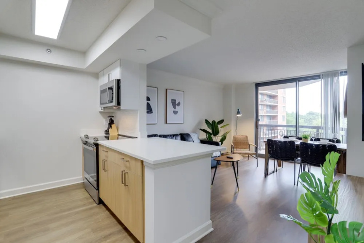 Pentagon City Modern apartment