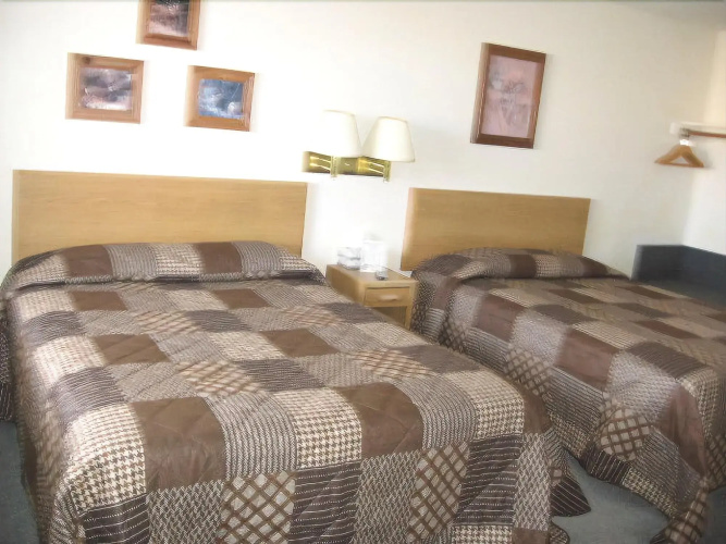Little Bear Motel