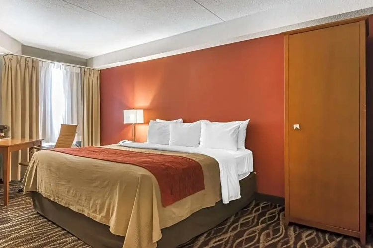 Standard Double Basement room
