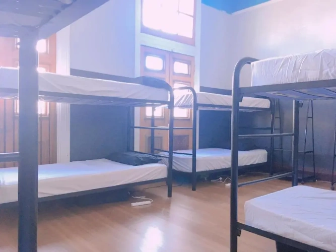 Bed in Dorm