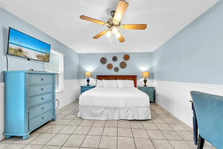 Sand Dollar A