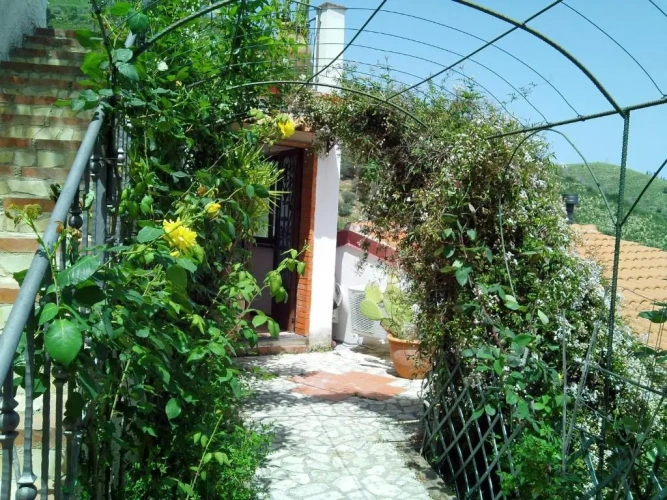 Apartment with garden view