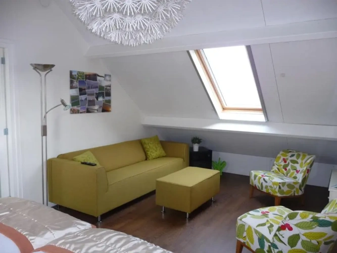Standard Family room