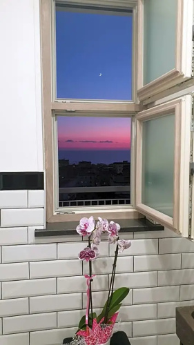 Casa Angelina