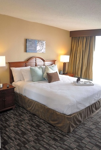 Premium Accessible Double room