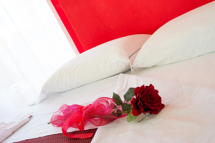 Minihotel IRIS