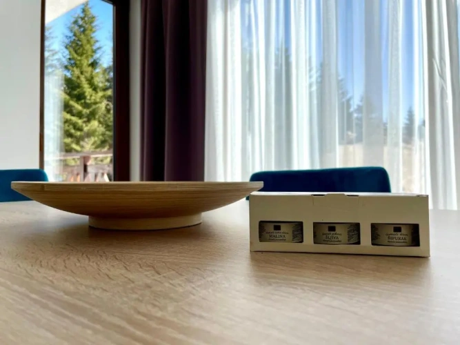 Apartment with mountain view