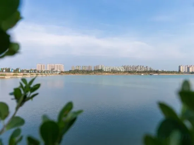 Outside