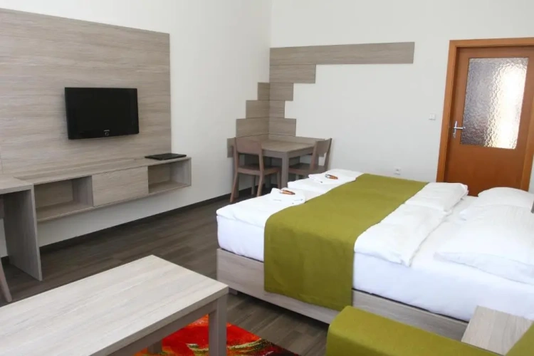 1 Bedroom Apartment with view