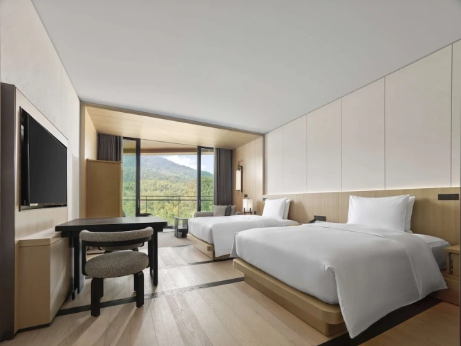 Deluxe Twin room with balcony