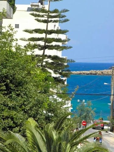 Standard Single room with balcony and with view