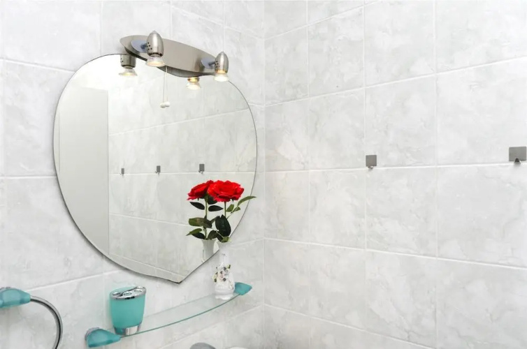 Apartment Branka