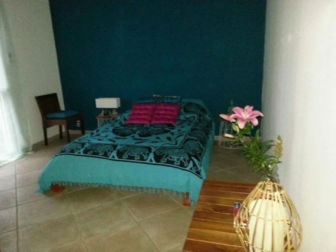 Standard Double room with garden view