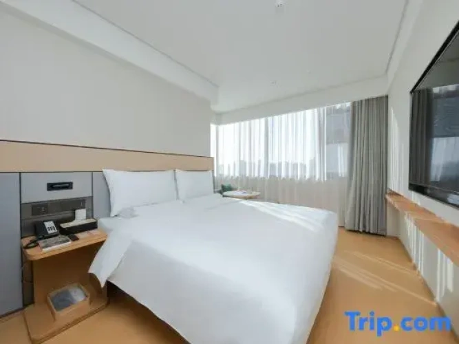 Comfort Double Suite