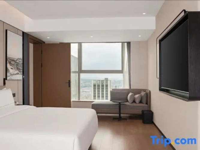 Premium Suite with city view