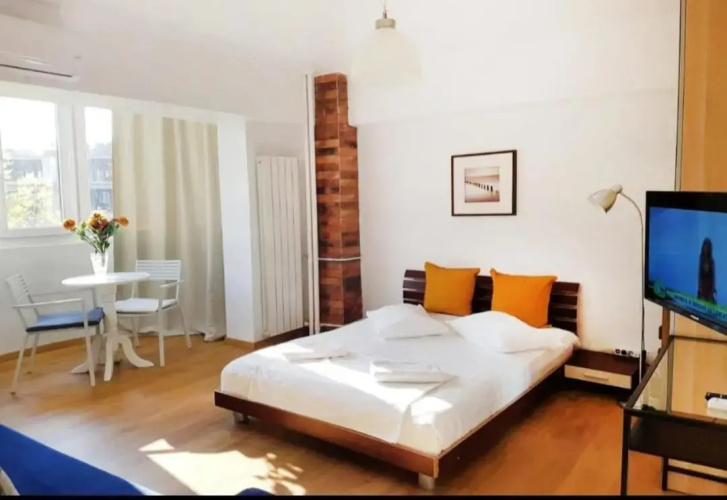 Piata Victoriei Sanador Studio Apartment