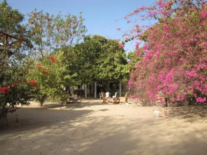 Le Bazouk Du Saloum