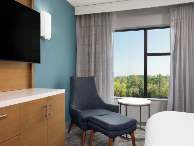 1 Bedroom Suite