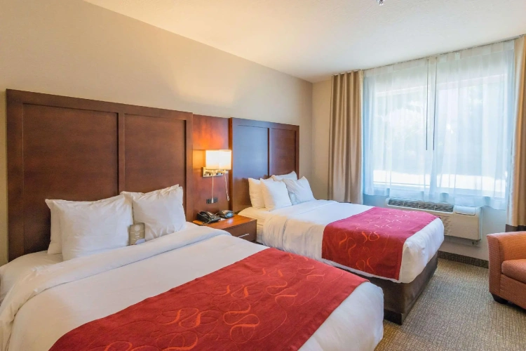 Quadruple Suite
