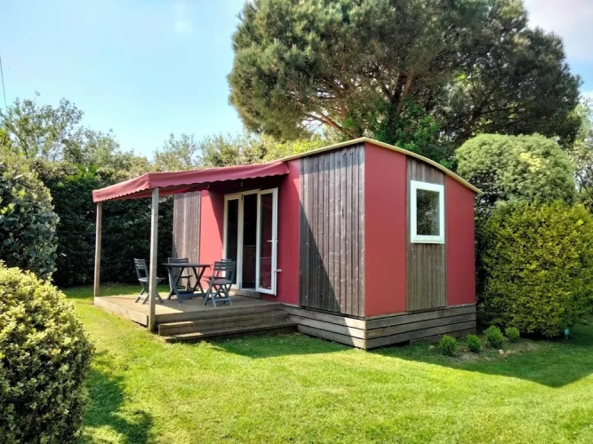 Business Bungalow